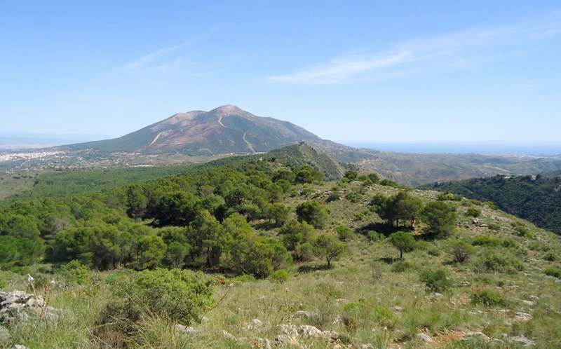 Andalusia: le orchidee e Grandi Pietre  marzo-aprile 2023.